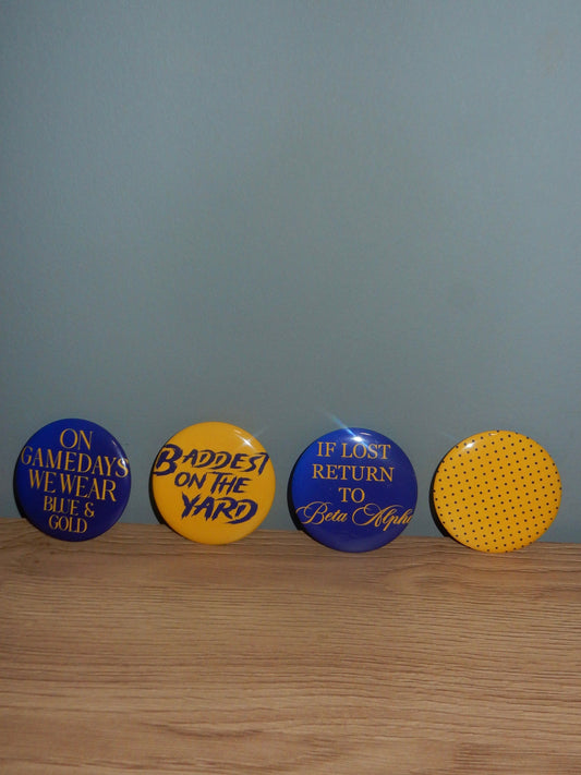 SIGMA GAMMA RHO BUTTON PINS
